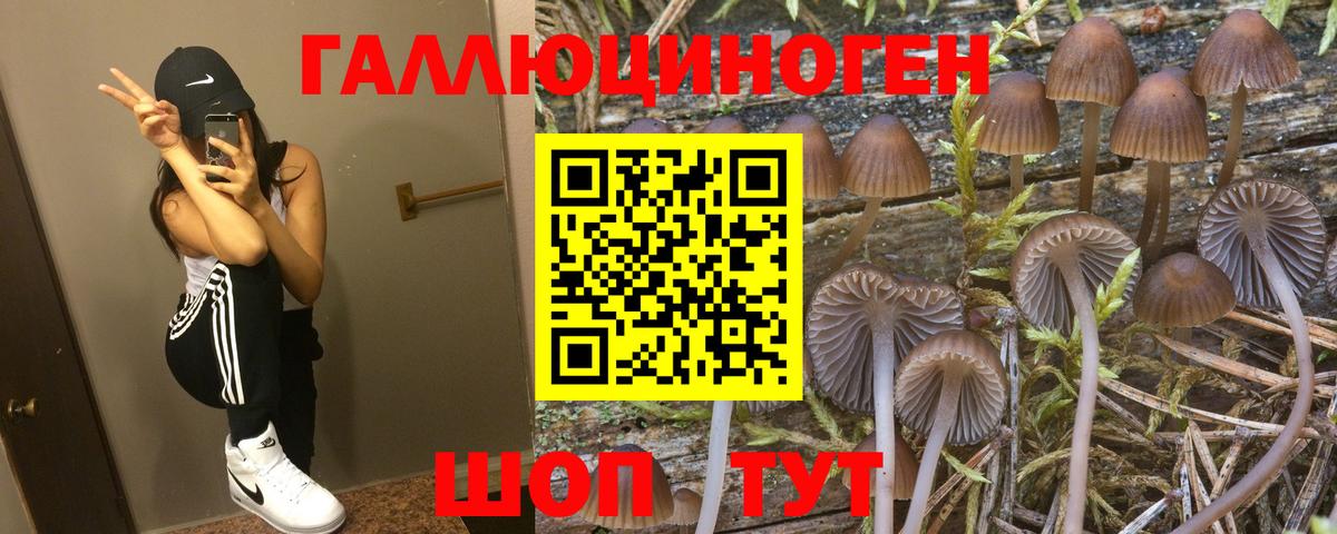 Меф   Вход с VPN  Кокаин  A PVP СОЛЬ кристаллы  Где продают наркотики?  Маркс  МАРИХУАНА  ГАШИШ 